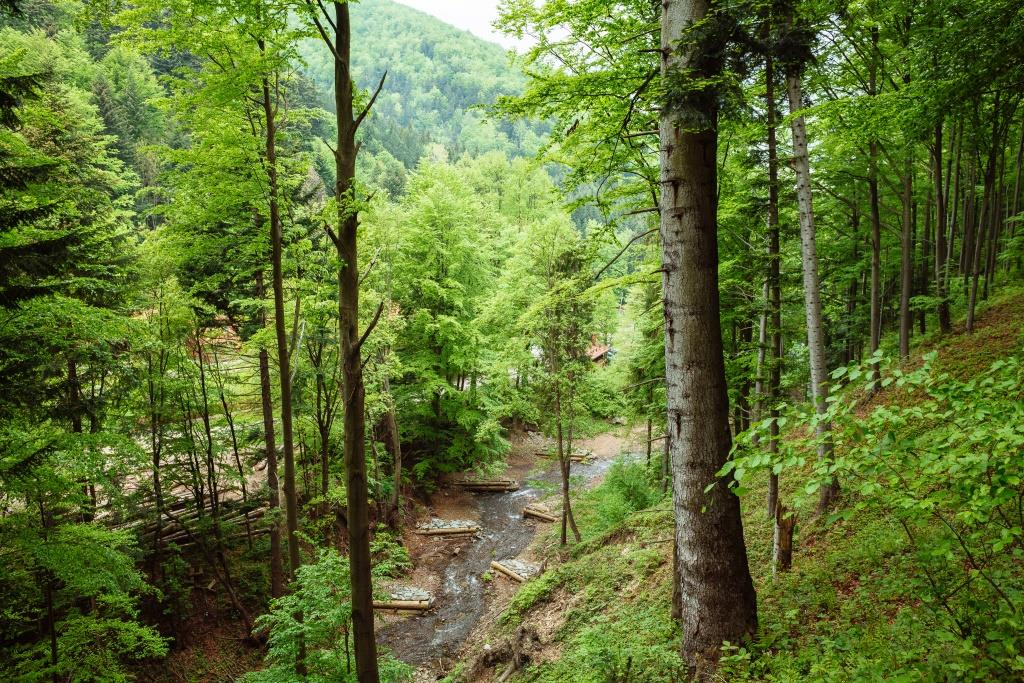 proste metody przywracania meandryzacji cieków