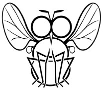 Biuletyn Sekcji Dipterologicznej Polskiego Towarzystwa Entomologicznego DIPTERON Bulletin of the Dipterological Section of the Polish Entomological Society ISSN 1895 4464 Tom 32: 50-59 Akceptacja: 01.