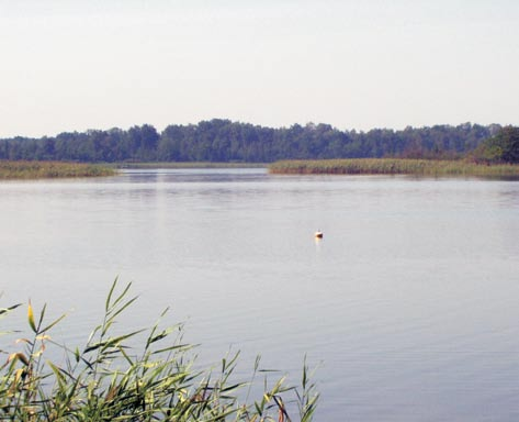 W podziale hydrograficznym jest zaliczane do zlewni rzeki Piwonii Północnej.