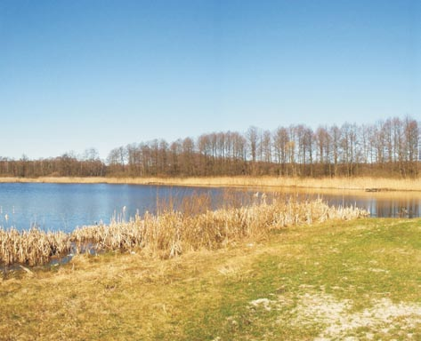 wykazały, że jezioro Łukcze jest płytkim, częściowo uwarstwionym termicznie zbiornikiem.