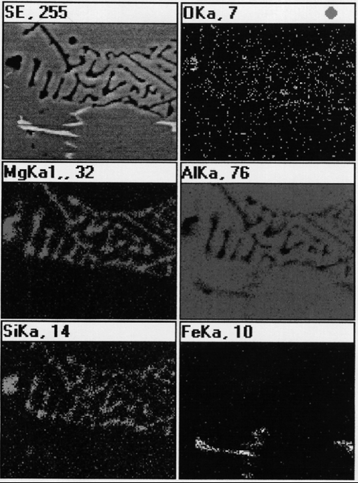 Microstructure of AlMg5-SiC p composite as cast Rozkład powierzchniowy pierwiastków ujawniony w obserwowanej strukturze, wykonany przy zastosowaniu SEM+EDX, przedstawiono na rysunku 3a.