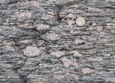 Pegmatyty są skałami gruboziarnistymi, w których pojedyncze, często zrośnięte ze sobą kwarce i skalenie osiągają długość kilkunastu centymetrów.