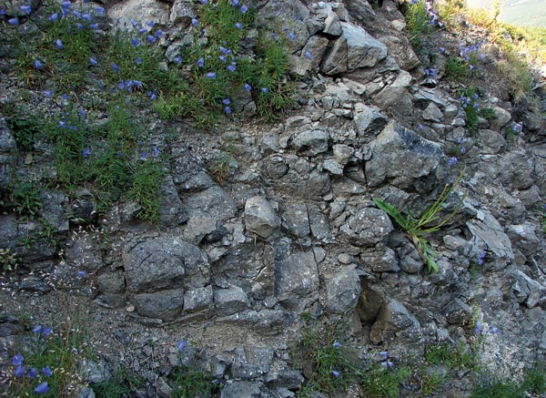 Ryc. 28. Bazanity Małego Śnieżnego Kotła (fot. R. Knapik) skał zachowała się, natomiast pojawia się już w nich andaluzyt. Z metamorfizmem kontaktowanym są także związane skarny.