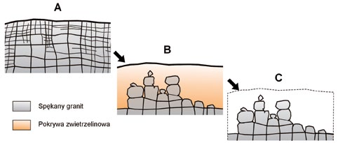 Ryc. 63. Schemat przedstawia, jak powstała większość karkonoskich skałek tości minerałów łatwiej ulegających rozkładowi: plagioklazów i biotytu (ryc. 63A).