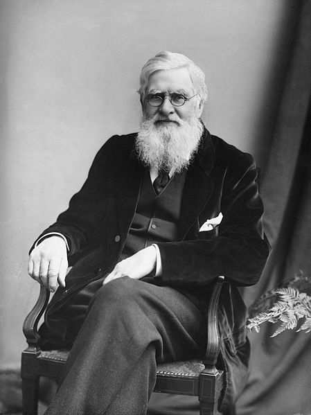 Alfred Russel