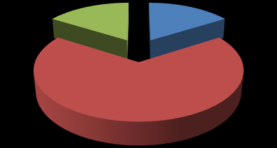 Struktura płci 25% Kobiety Męzczyźni 75% W trakcie badania, 1/3 badanej grupy odpowiedziała, że w momencie ukończenia studiów na kierunku Architektura i urbanistyka, pracuje zawodowo.