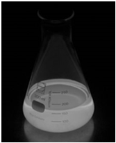 testy specyficzne - immunochromatograficzne C.