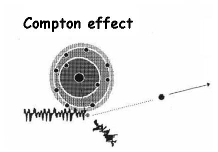 Interaction of Gamma