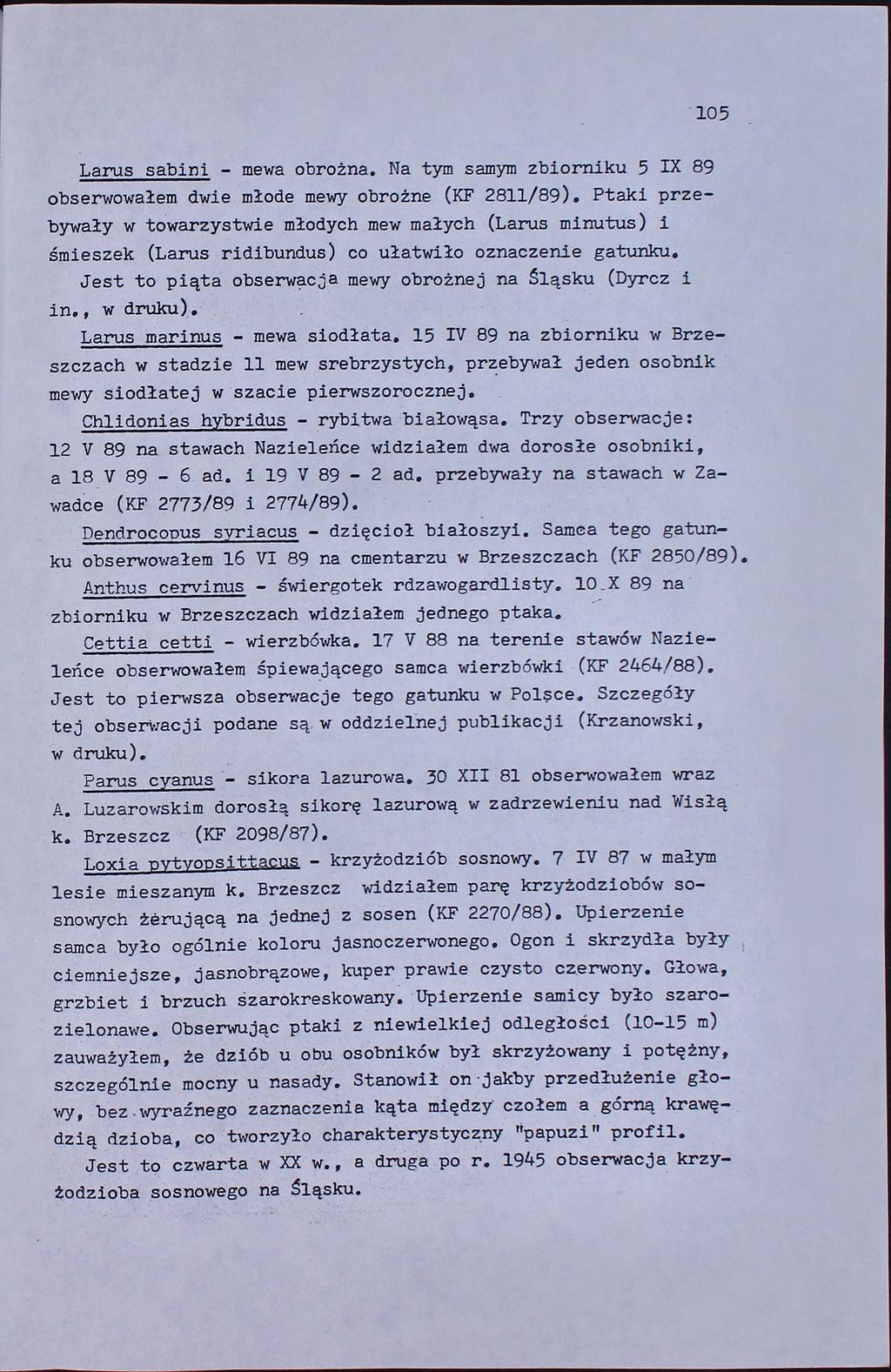 105 Larus sabini - mewa obrożna. Na tym samym zbiorniku 5 IX 89 obserwowałem dwie młode mewy obrożne (KF 2811/89).