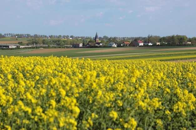 Wielkie zwiększono średnio o 30 % liczbę usług objętych mierzeniem satysfakcji klientów, podniesiono poziom