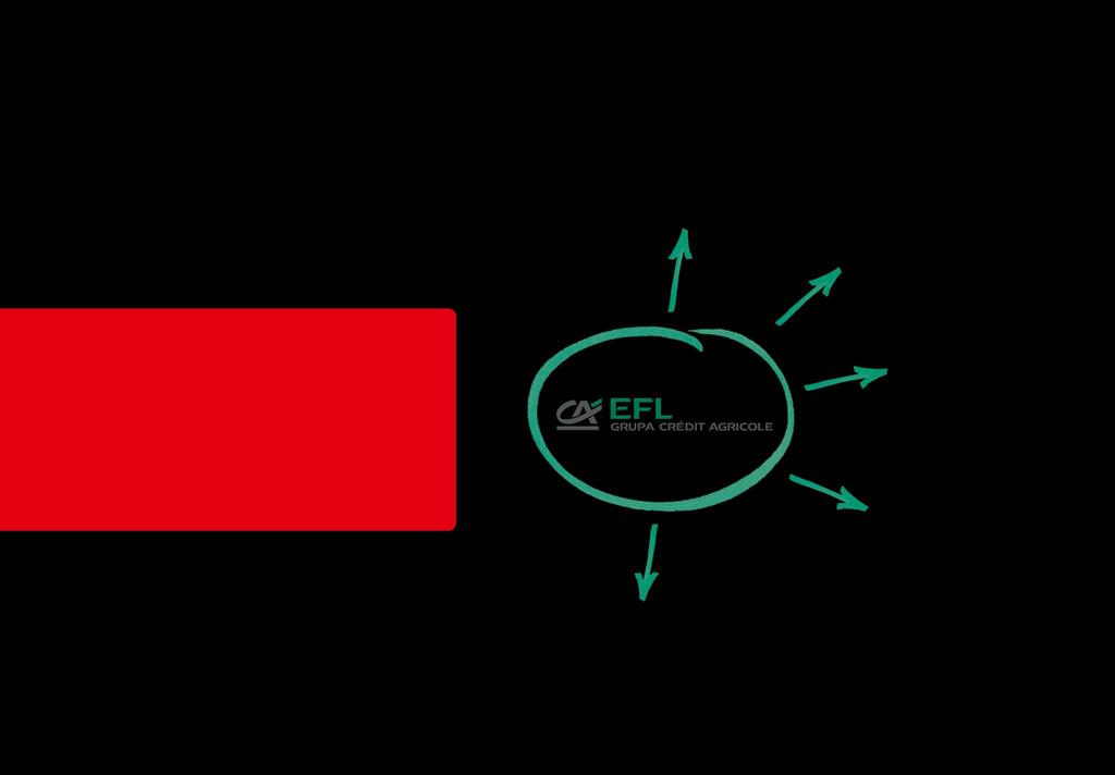 GRUPA EFL leasing pożyczka Grupa EFL oferuje