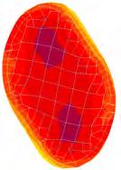 42 Z. Pater, A. Gontarz, J. Tomczak WPK odkuwek o kształtach złożonych R p = 40 % R p = 55 % R P = 70 % Rys. 2.34.