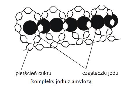 niebieskiej, którą zawdzięcza temu, że jej struktura jest helisą uporządkowaną, z pustym wnętrzem wypełnionym jodem.