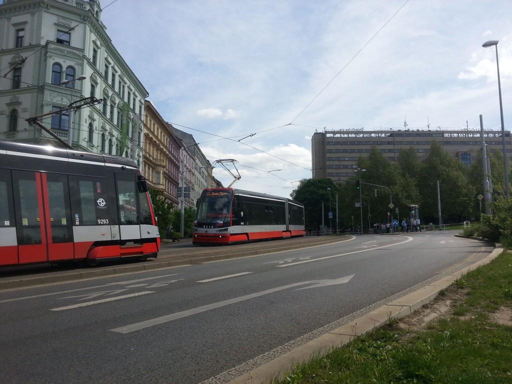 zobaczyć jak jeździ się naziemnym transportem publicznym.