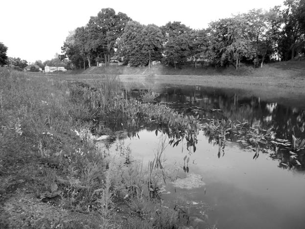Str.. 2 OBEZ tygodnik ³obeski 15.7.2014 r. Czy po aresztowaniu dyrektora i zastêpcy Zachodniopomorskiego Zarz¹du Melioracji i Urz¹dzeñ Wodnych bêd¹ sprawdzaæ zbiornik w obzie?