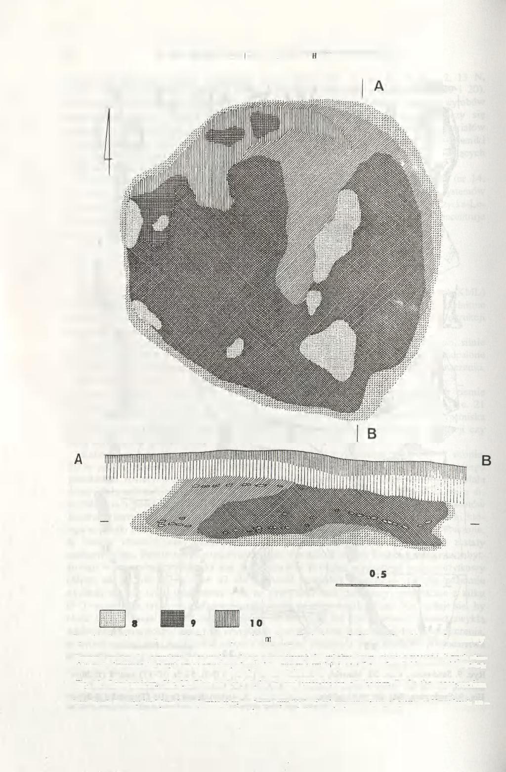 82 JOLANTA M. MICHALAK-ŚCIBIOR, HALINA TARAS Ryc. 10. Sandomierz, stan. 20. Plan na gl. 0,40 m i profil obiektu nr 7. W profilu widoczne 2 warstwy muszli.