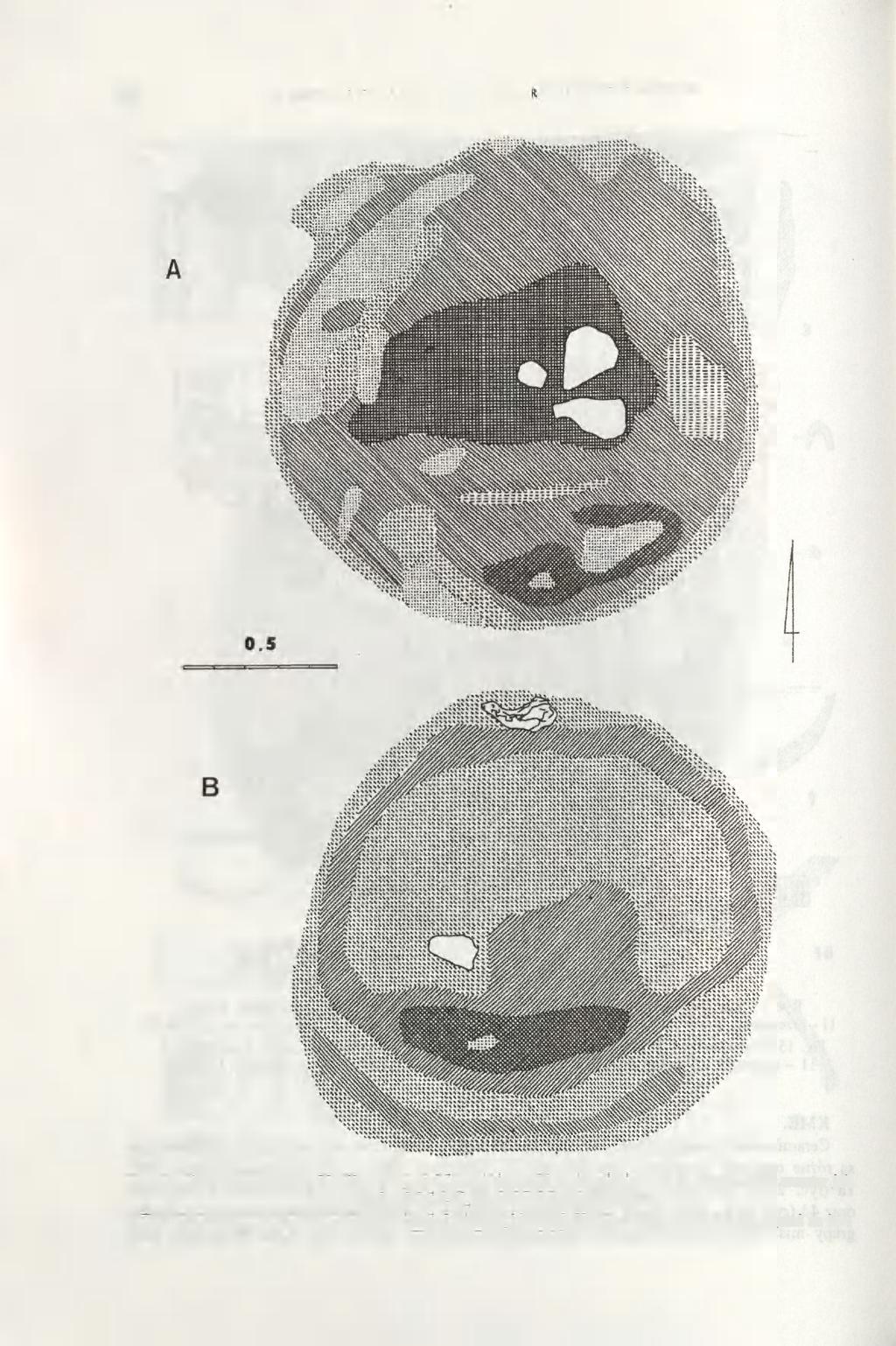 92 JOLANTA M. MICHALAK-ŚCIBIOR, HALINA TARAS Ryc. 16. Sandomierz, stan. 20. Plan na gl. 0,35 m (A) i 0,55 m (B) obiektu nr 9. Oznaczenia warstw jak na ryc.