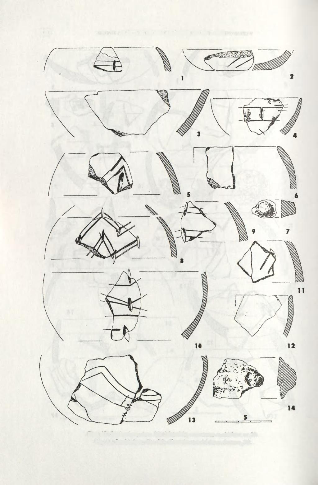 120 JOLANTA M. MICHALAK-ŚCIBIOR. HALINA TARAS Ryc. 37. Sandomierz, stan. 20.