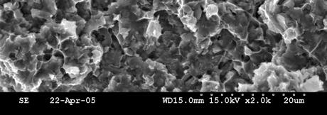 mixture of this powder with 1% SiC particles, a, c) longitudinal sections, b, d) cross sections.