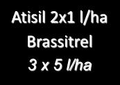 Program nawożenia owocującej plantacji truskawki Atisil 2x1 l/ha Brassitrel 3 x 5