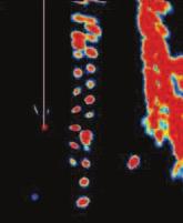 Nakładka radar/ mapa* Wyraźniejsze widzenie Automatyczna regulacja dostrojenia, wzmocnienia i tłumienia zakłóceń od morza.