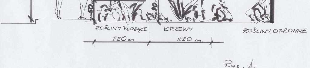 Gatunki roślin zastosowane w projektowaniu Bezpiecznych Przestrzeni powinny spełniać następujące kryteria: 1. - wegetacja przystosowana do odpowiednich warunków mikroklimatycznych 2.