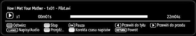 TV przeskoczy do pliku rozpoczynającego się na literę wprowadzoną przy pomocy przycisków numerycznych na pilocie. Odtwarzaj to (przycisk OK): Odtwarza wybrany plik.