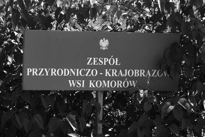 Wszystkie te obiekty powstały dzięki dogodnemu naturalnemu ukształtowaniu terenu oraz zaadaptowaniu starorzeczy Utraty i wyrobisk pocegielnianych (Bielawski 2009, Krzyczkowski 2009).