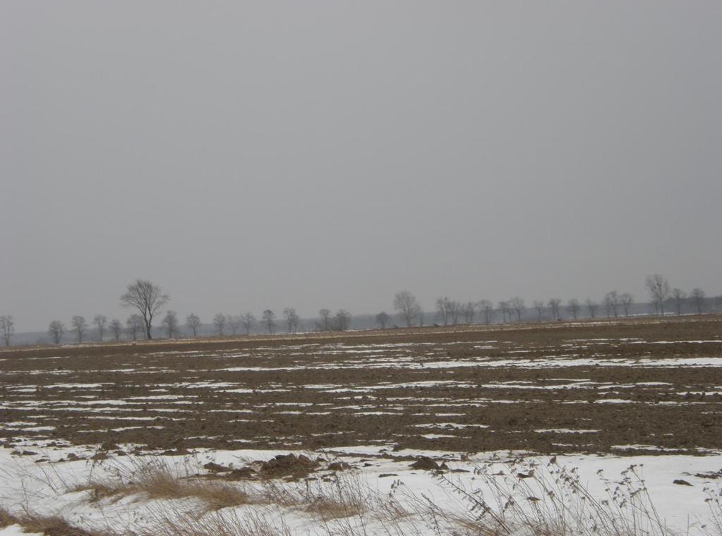 Rysunek 21 Materiał zdjęciowy przedstawiający