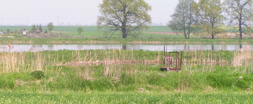 3.1.5 Gospodarka wodna i przeciwpowodziowa Powierzchnia gruntów pod wodami wynosi 472,02 ha 2,0% (ogólnej powierzchni gminy).