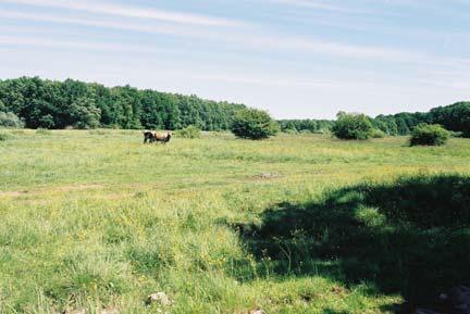 3.1.10 Obszary leśne Powierzchnia lasów i zadrzewień wynosi 4 931,90 ha, co stanowi 21,1 % ogólnej powierzchni gminy (tab. 5).