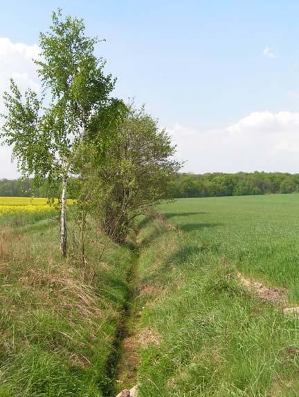 Zdjęcie 19 i 20: Śródpolne rowy melioracyjne. Układ sieci drenarskiej (tab. 25; rys. 22) stanowi 16,0 % powierzchni ogólnej obrębów.