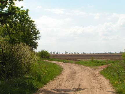przebiegu granic własnej nieruchomości, a także położenie drogi w kompleksie pól jednego właściciela. Zdjęcie 25 i 26: Drogi transportu rolnego.