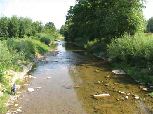 Ocena obszarów chronionych będące jednolitymi częściami wód przeznaczonych do ochrony gatunków i siedlisk W 2012 roku monitorowanych było 6 jednolitych część