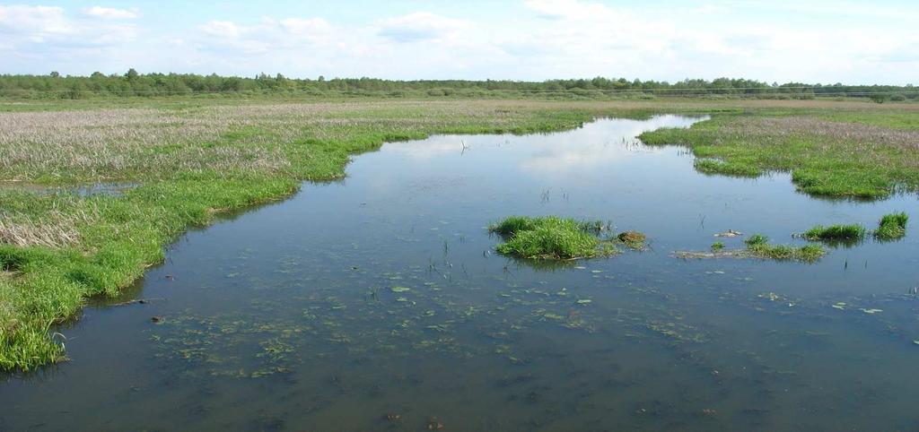 River Habitat Survey Maj 2013 numer 6 RHS w Polsce Badania terenowe realizowane podczas warsztatów W tym numerze: Warsztaty hydromorfologiczne 2012 Marcin Przesmycki Wojewódzki Inspektorat Ochrony