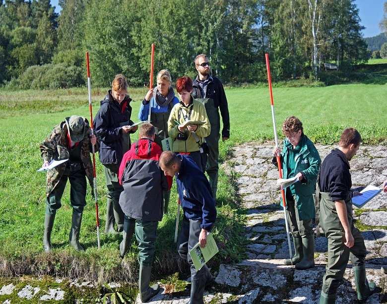 River Habitat Survey. Kurs odbył się w Wałbrzychu a zajęcia terenowe prowadzono na rzekach Bóbr, Bystrzycy i Ścinawce. Zajęcia prowadzone były przez pracowników Uniwersytetu Przyrodniczego w (Fot.