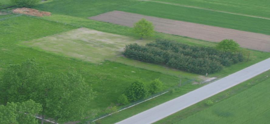 kierunku ulicy asfaltowej stanowiąca dojazd do działki.