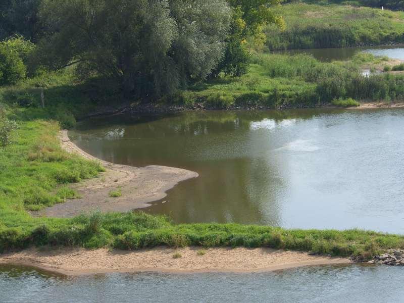 54,5 części ryby. przy (10 Słubice, rzece kanałów km, ha), torze Długość gminy Woda która koło Odrze.-----------------------------------------------Fot.