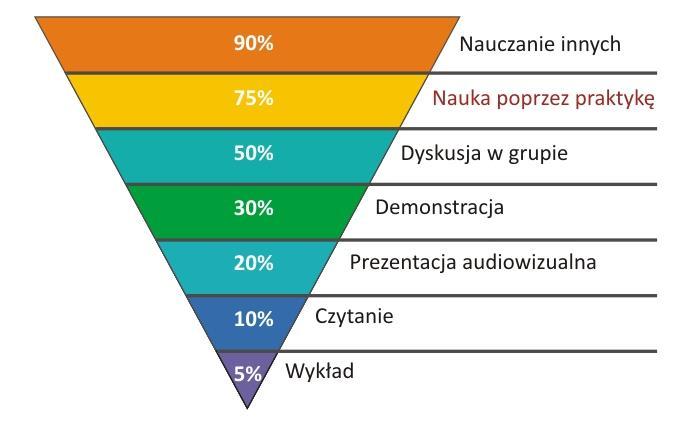 EFEKTYWNOŚCI