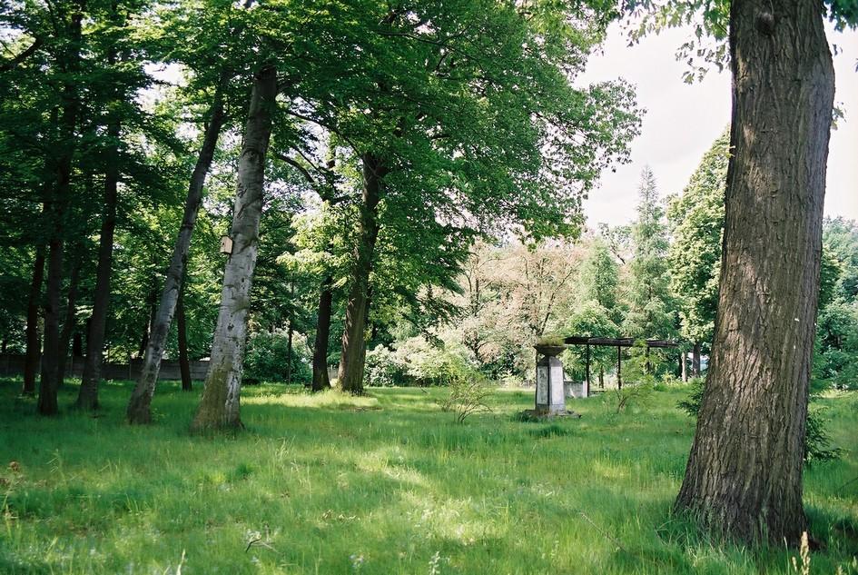 Zespół pałacowy z folwarkiem i parkiem: 6. Park z aleją lipową od wschodu, poł. XIX w., pocz. XX w.