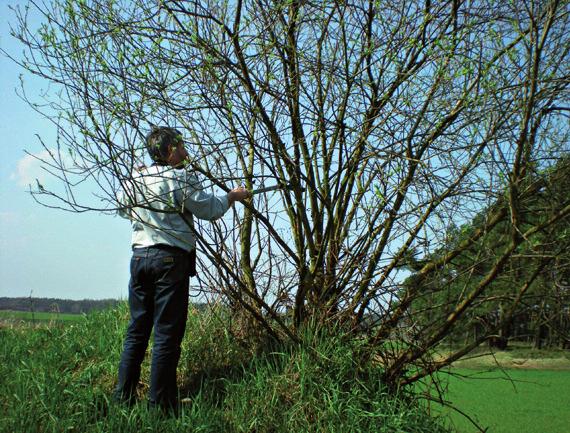 The LAD measurement of the bush in the Barycz River Valley Pomiar parametrów roślinnych za pomocą zdjęć hemisferycznych Zdjęcia hemisferyczne to najprostszy sposób pomiaru indeksu LAI oraz ażurowości