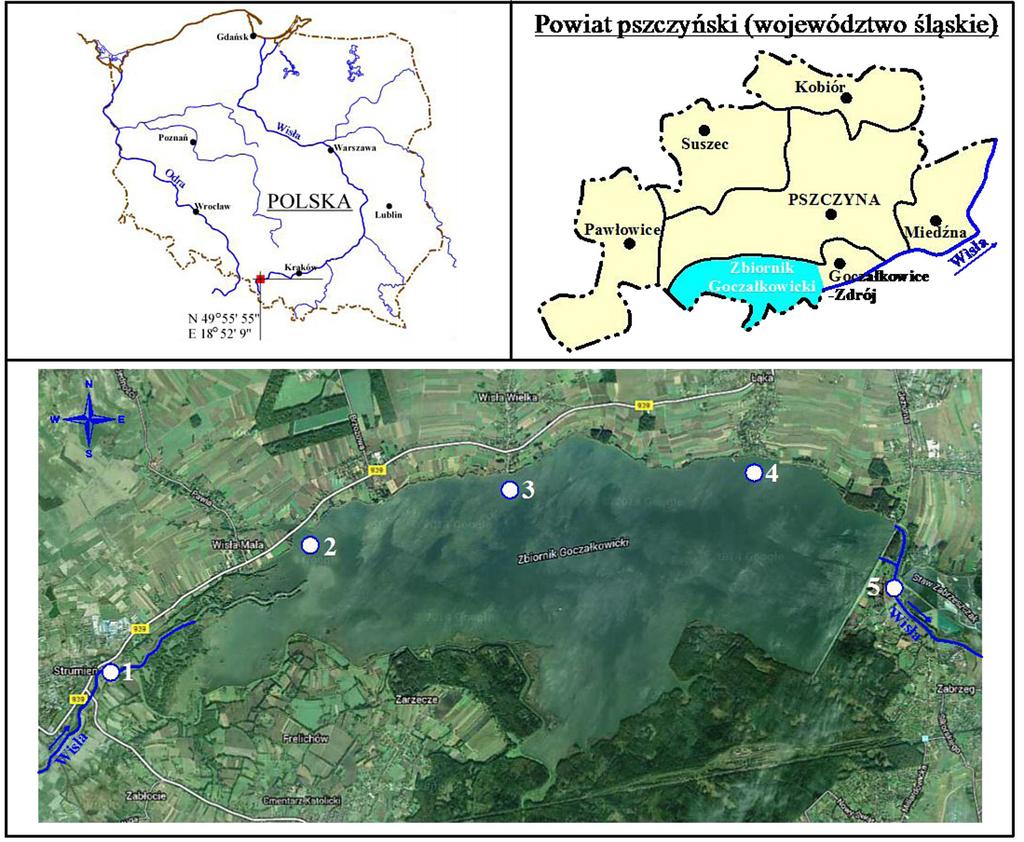 Rys. 1. Lokalizacja Zbiornika Goczałkowickiego i punktów pomiarowo-kontrolnych [na podstawie Mapy Google] Fig. 2.