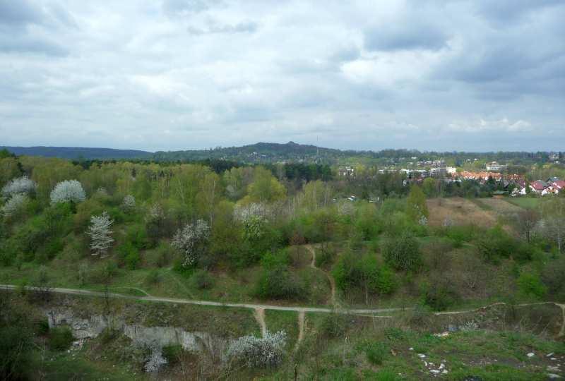 136 Fot. nr 245. Panorama Śródmieścia Krakowa ze szczytu Skał Twardowskiego.