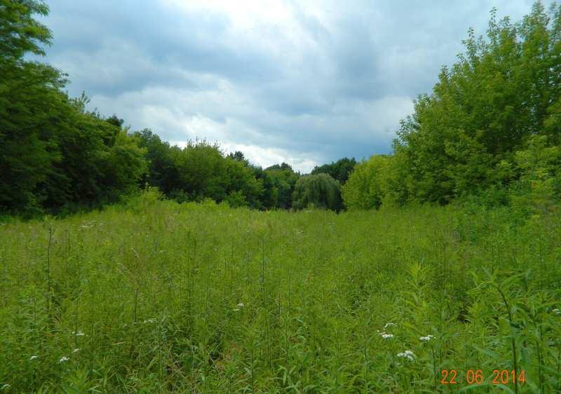 36 Fot. nr 59. W tym miejscu stała schodkowa trybuna. Fot. nr 60 (60-64).