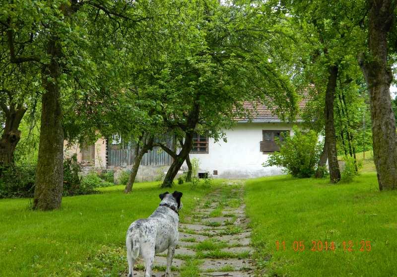 naroża ulic: Malczewskiego i Zaścianek