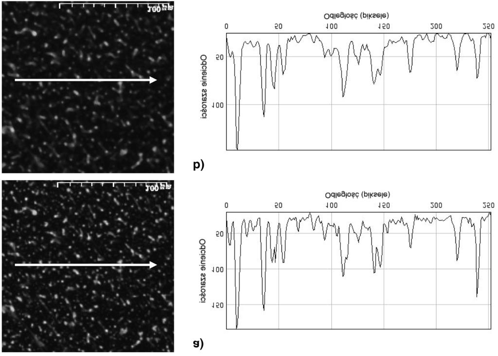 ANALIZA MIKROSTRUKTURY ASFALTÓW MODYFIKOWANYCH POLIMERAMI 35 Dla przedstawionych obrazów za³¹czono profile obrazuj¹ce rozk³ad odcieni szaroœci wzd³u zaznaczonej linii.