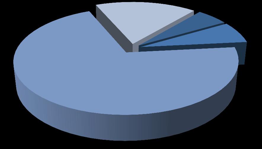 Wykaz akcjonariuszy posiadających co najmniej 5% akcji (na dzień 07 lutego 2013 roku) lp. Dane akcjonariusza Seria Liczba akcji Liczba głosów Udział w kapitale zakładowym Udział w liczbie głosów 1.