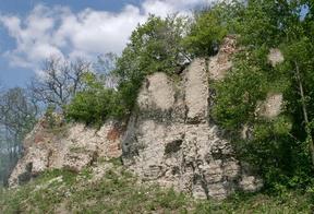 Ruiny zamku Solecki zamek wznosił się na krawędzi skarpy doliny Wisły, w pobliżu centrum miasteczka. Był ważnym punktem obronnym.
