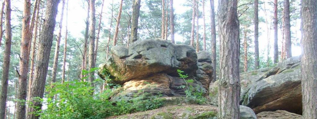 Jubileuszowe, 50. Sympozjum Speleologiczne zostanie zorganizowane w Górach Świętokrzyskich, zgodnie z tradycją, iż co dziesiąte sympozjum odbywa się w tym regionie.