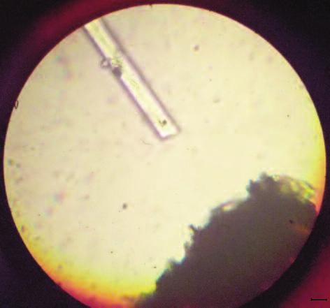 (aldehyd cynamonowy), 1,66 (a-monobromonaftalen), 1,74 (jodek metylenu) oraz ich mieszaniny. Tabela IV.